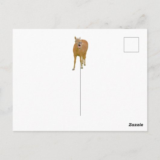Lächelndes Pferd - Postkarte (Rückseite)