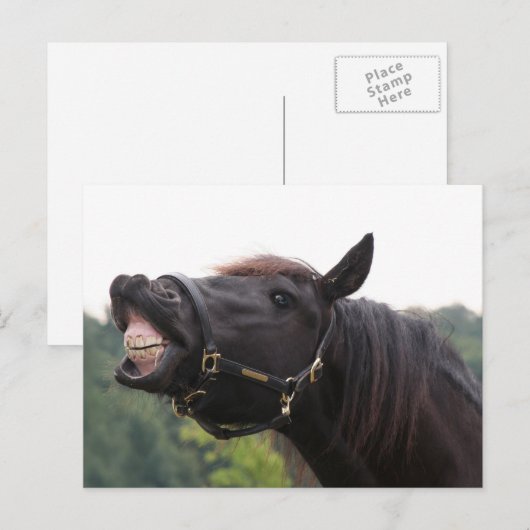 lächelndes Pferd Postkarte (Vorne/Hinten)