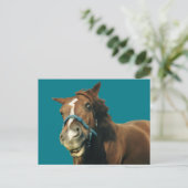 Lächelndes Pferd Postkarte (Stehend Vorderseite)