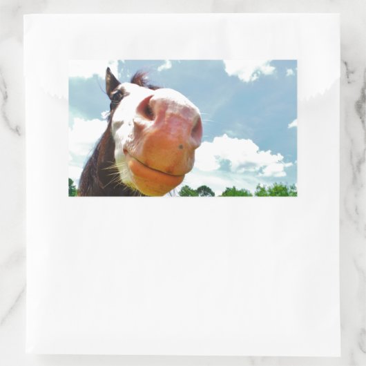 Lächelndes Pferd Rechteckiger Aufkleber (Tasche)