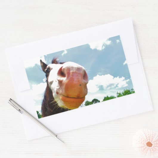 Lächelndes Pferd Rechteckiger Aufkleber (Umschlag)