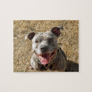 Lächelndes Pitbull Puzzlespiel Puzzle