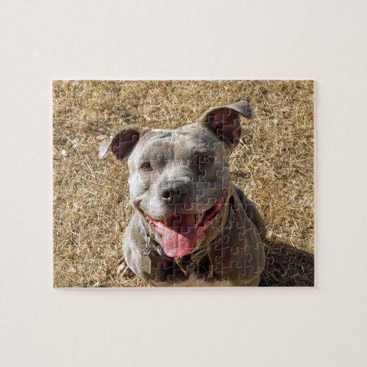 Lächelndes Pitbull Puzzlespiel Puzzle (Horizontal)