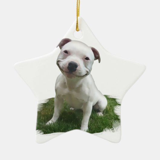 Lächelndes Pittie Keramik Ornament (Vorne)