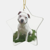 Lächelndes Pittie Keramik Ornament (Links)