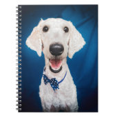 Lächelndes Poodle Spiral Notebook Notizblock (Vorderseite)