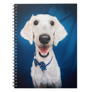 Lächelndes Poodle Spiral Notebook Notizblock