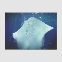 Lächelndes Ray Geschenkpapier Seidenpapier