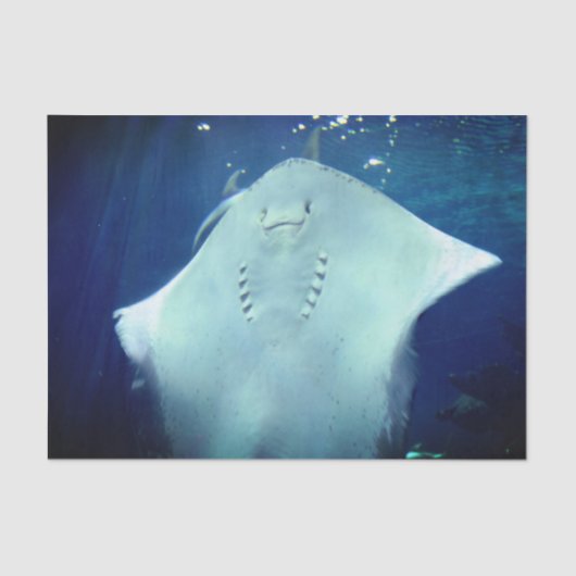 Lächelndes Ray Geschenkpapier Seidenpapier (Vorderseite)