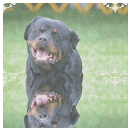 Lächelndes Rottweiler Stoff (Nahaufnahme)