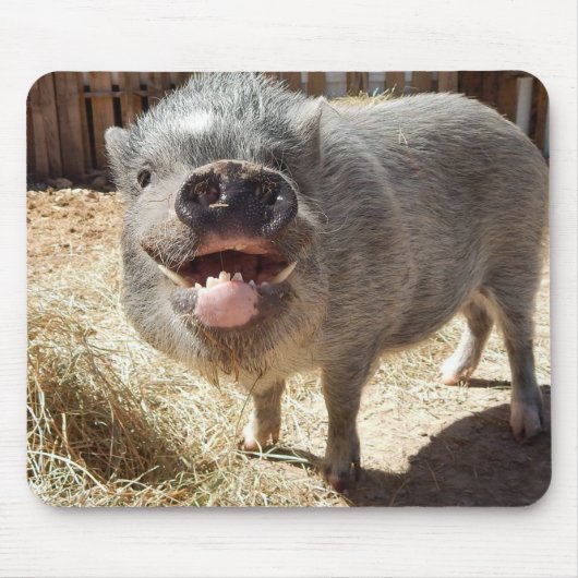 Lächelndes Schwein Mousepad (Vorne)