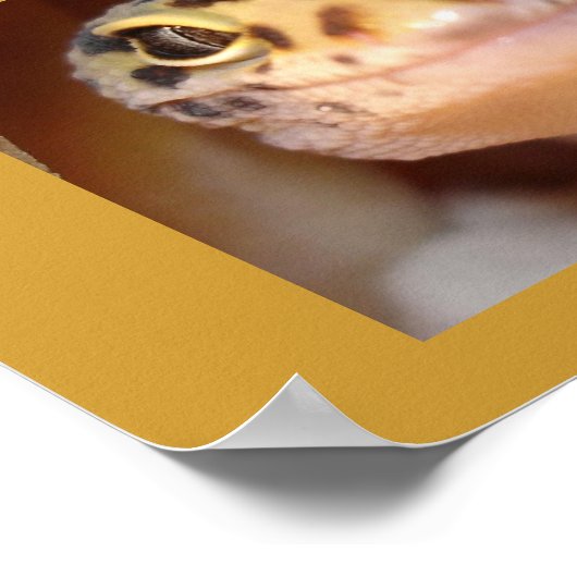 Lächelposter Poster (Ecke)