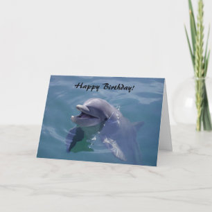 Lächelt Dolphin glücklich Geburtstag! Karte