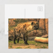 Lachen Hyena (Ver. 2.0):Postkarte Postkarte (Vorne/Hinten)