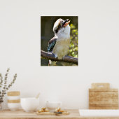Lachen Kookaburra auf der Zweigstelle Postcard Squ Poster (Küche)