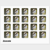 Lachen Kookaburra auf der Zweigstelle Postcard Squ Quadratischer Aufkleber (Blatt)
