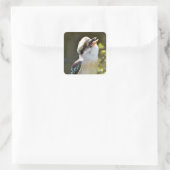 Lachen Kookaburra auf der Zweigstelle Postcard Squ Quadratischer Aufkleber (Tasche)