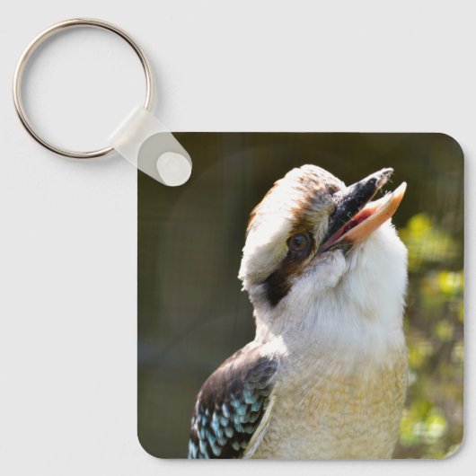 Lachen Kookaburra auf der Zweigstelle Postcard Squ Schlüsselanhänger (Vorderseite)