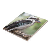 Lachen Kookaburra auf Fraser Island Australien Fliese (Seite)