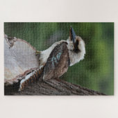 Lachen Kookaburra Bird in einem Baum, 1014 Stücke Puzzle (Horizontal)