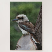 Lachen Kookaburra Bird in einem Baum, 1014 Stücke Puzzle (Vertikal)