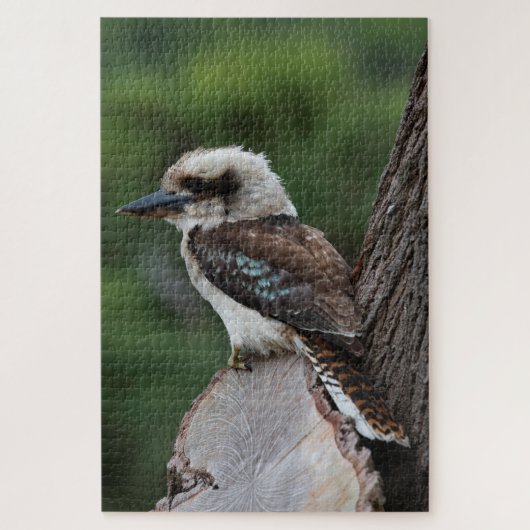 Lachen Kookaburra Bird in einem Baum, 1014 Stücke Puzzle (Vertikal)