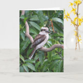 Lachen Kookaburra Grußkarte Karte (Gelbe Blume)