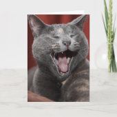 Lachen Sie es! Karte (Vorderseite)