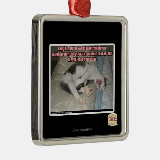 Lachen und die Welt lacht mit Ihnen Silbernes Ornament (Rechts)