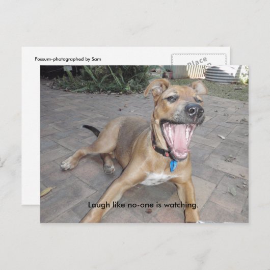 Lachen wie niemand zusieht postkarte (Vorne/Hinten)