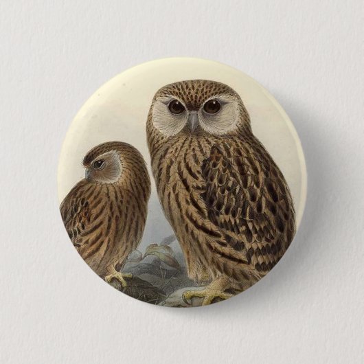 Lachende Eule Vintage-Illustration Button (Vorderseite)