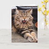 Lachende Katzengrußkarte Karte (Gelbe Blume)