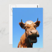 Lachende Kuh Postkarte (Vorne/Hinten)