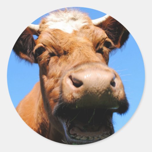 Lachende Kuh Runder Aufkleber (Vorderseite)