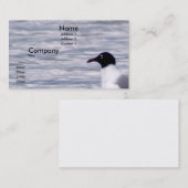 Lachende Möve Visitenkarte (Vorne/Hinten)