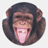 lachender Affe Runder Aufkleber (Vorderseite)