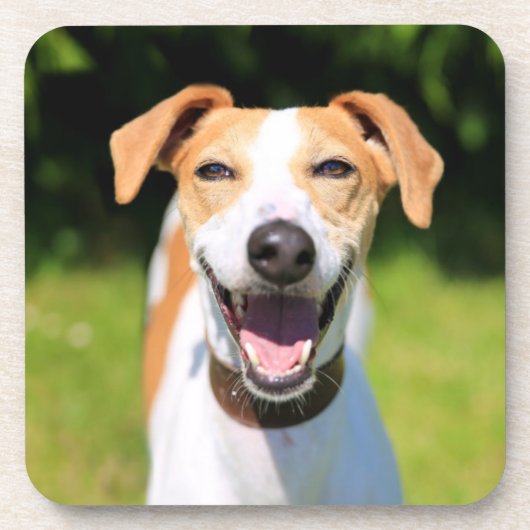 Lachender Hund Getty Bild-| Getränkeuntersetzer (Vorderseite)