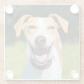 Lachender Hund Getty Bild-| Glasuntersetzer (Rückseite)