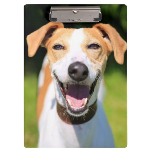 Lachender Hund Getty Bild-| Klemmbrett (Vorderseite)