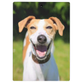 Lachender Hund Getty Bild-| Klemmbrett (Rückseite)