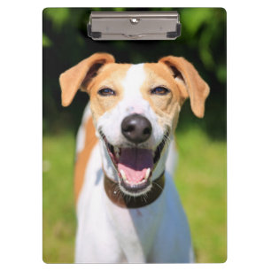 Lachender Hund Getty Bild-  Klemmbrett