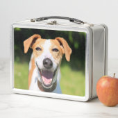 Lachender Hund Getty Bild-| Metall Lunch Box (Beispiel)