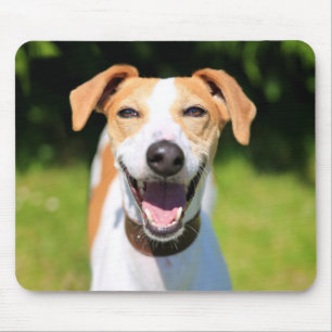Lachender Hund Getty Bild-  Mousepad