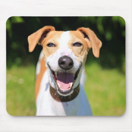 Lachender Hund Getty Bild-| Mousepad (Vorne)