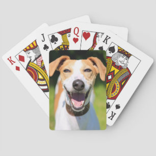 Lachender Hund Getty Bild-  Spielkarten