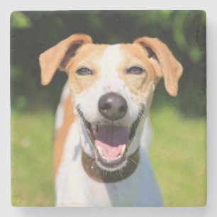 Lachender Hund Getty Bild- Steinuntersetzer