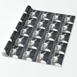 Lachendes Lama-Geschenkpapier Geschenkpapier