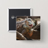 Lachendes Leguan-Foto Button (Vorne & Hinten)