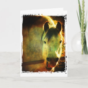 Lachendes Pferd, Geburtstag Karte