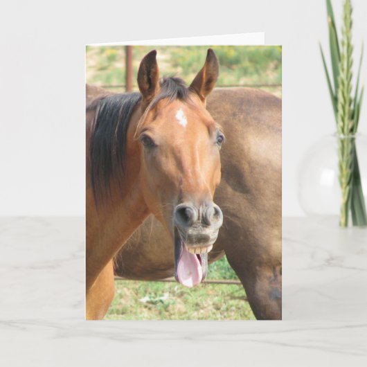 Lachendes Pferd Karte (Vorderseite)